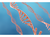 Single strand of RNA digital illustration